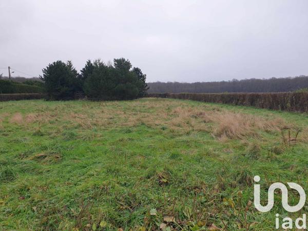 Terrain à vendre 2 784 m² Beaumont-le-Roger