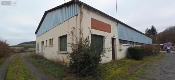Fonds et/ou murs commerciaux à vendre à Rolampont en Haute-Marne (52260), ref : 52020-1042772