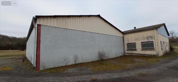 Fonds et/ou murs commerciaux à vendre à Rolampont en Haute-Marne (52260), ref : 52020-1042772