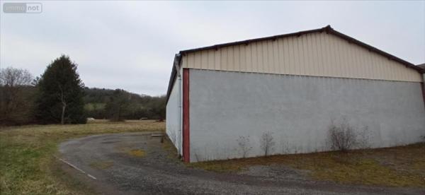 Fonds et/ou murs commerciaux à vendre à Rolampont en Haute-Marne (52260), ref : 52020-1042772