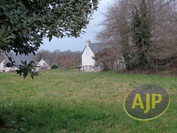 Vente terrain Cruguel : 44 500 € - AJP Immobilier Plumelec
