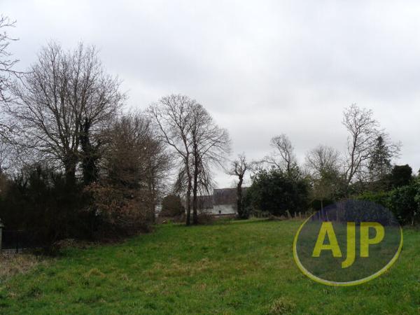 Vente terrain Cruguel : 44 500 € - AJP Immobilier Plumelec