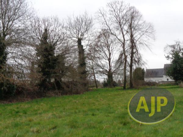 Vente terrain Cruguel : 44 500 € - AJP Immobilier Plumelec