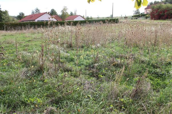 terrain constructible  tres proche de neufchateau