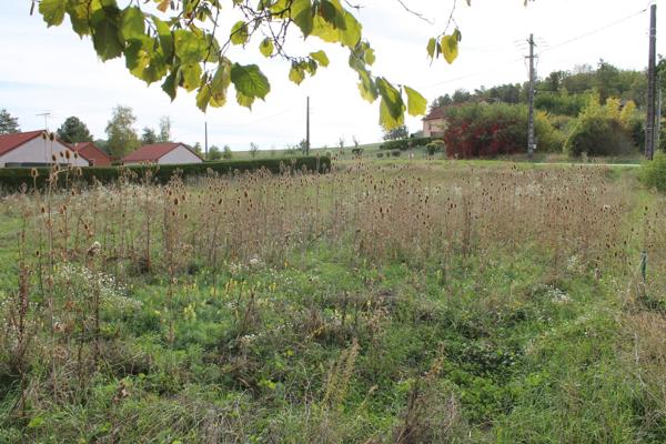 terrain constructible  tres proche de neufchateau