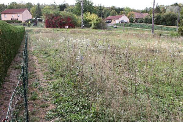 terrain constructible  tres proche de neufchateau