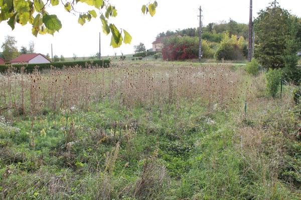 terrain constructible  tres proche de neufchateau