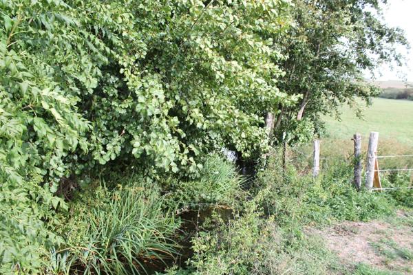terrain constructible  tres proche de neufchateau