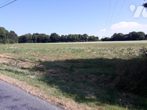terrain à bâtir 4 159m², IVOY-LE-PRE