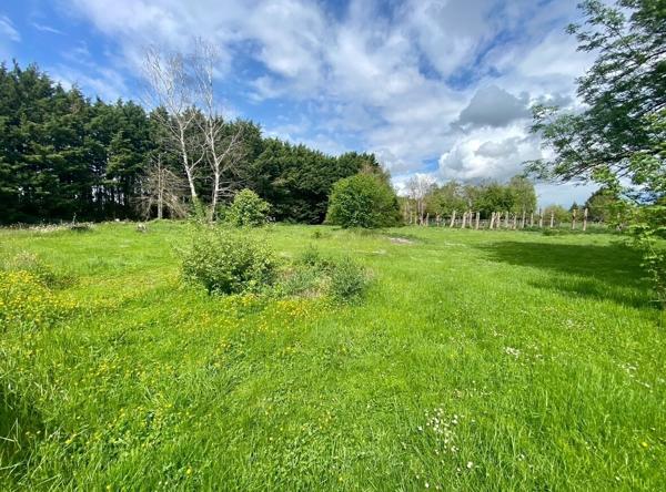 Maison 8 pièces de 200m2 sur 6000m2 de terrain