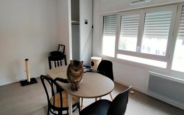 Appartement à louer    2 pièces • 35,39 m2 Montpellier