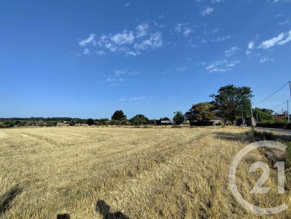 Maison à vendre  4 pièces - 81 m 2   POULIGNY ST MARTIN  - 36