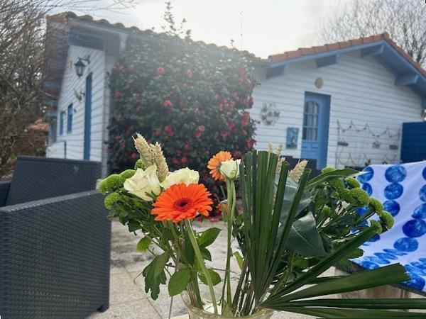 Maison à SAINTE EULALIE EN BORN (40200)