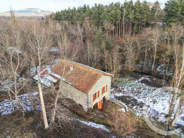 Maison à vendre  4 pièces - 76,40 m2 CHASPUZAC - 43