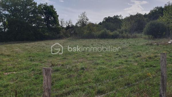 A Saint-Front-sur-Lémance, situé dans un secteur semi résidentiel dans un cadre verdoyant, découvrez ce joli terrain constructible d'une superficie totale de 2 012 m².  
Ce terrain dispose d'un certificat d'urbanisme permettant le détachement de deux lots à bâtir, offrant ainsi une belle opportunité pour un projet de construction individuelle ou d'investissement.  
Les réseaux nécessaires (eau, électricité, téléphone, tout à l'égout) se trouvent à proximité immédiate, simplifiant la viabilisation du terrain.  Longueur façade 48 mètres.
Une visite s'impose pour révéler tout son potentiel !
Je suis à votre disposition pour plus d'informations ou pour organiser une visite.