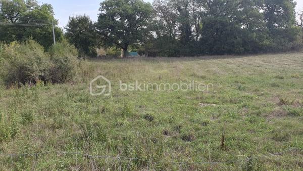 A Saint-Front-sur-Lémance, situé dans un secteur semi résidentiel dans un cadre verdoyant, découvrez ce joli terrain constructible d'une superficie totale de 2 012 m².  
Ce terrain dispose d'un certificat d'urbanisme permettant le détachement de deux lots à bâtir, offrant ainsi une belle opportunité pour un projet de construction individuelle ou d'investissement.  
Les réseaux nécessaires (eau, électricité, téléphone, tout à l'égout) se trouvent à proximité immédiate, simplifiant la viabilisation du terrain.  Longueur façade 48 mètres.
Une visite s'impose pour révéler tout son potentiel !
Je suis à votre disposition pour plus d'informations ou pour organiser une visite.