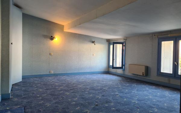 Maison à vendre    12 pièces •  Semussac