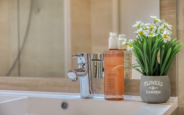 Appartement à louer    4 pièces • 85,02 m2 Maisons-Alfort