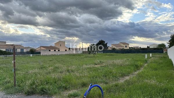 Terrain constructible , plat, libre constructeur