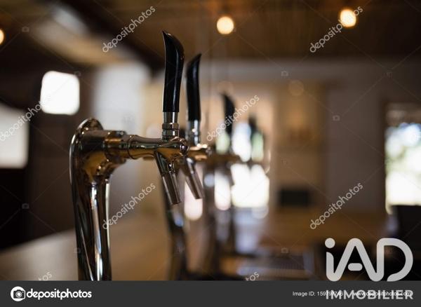 Bar, Brasserie, Tabac à vendre 60 m² Savasse