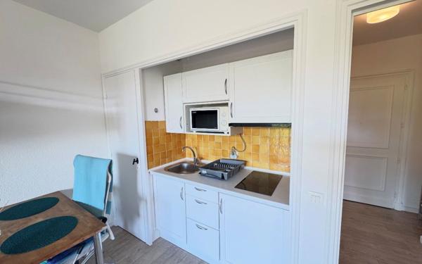 Appartement à louer    1 pièce • 25 m2 Villeneuve-Loubet