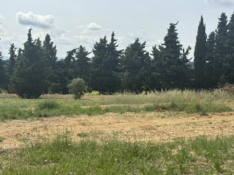 Estézargues (30390) Terrain à bâtir 852 m2 avec vue dégagée