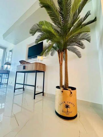 Magnifique studio renové vue mer