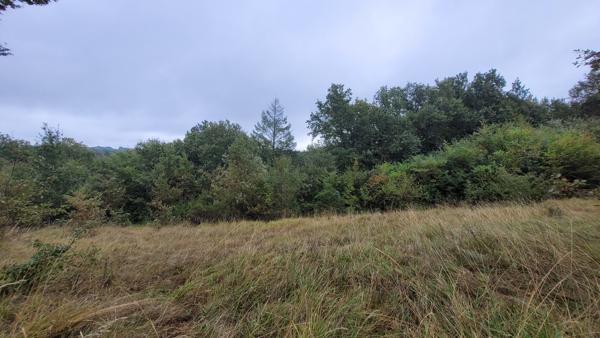 5 min Brive - Terrain CONSTRUCTIBLE avec TOUT-A-L'EGOUT - 3200 m2 - 49 990 euros