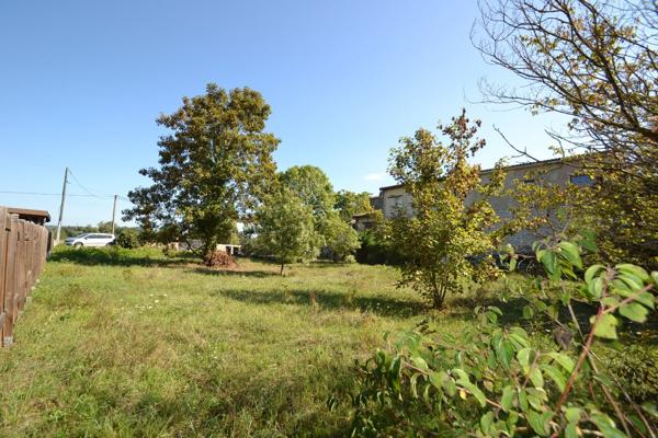 Vente / Terrain