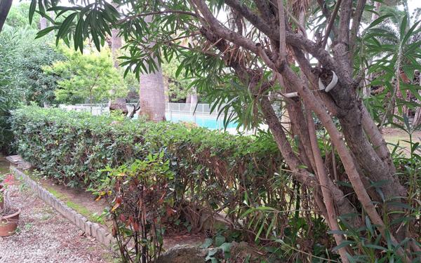 Appartement à vendre    2 pièces • 50 m2 Golfe Juan - Vallauris