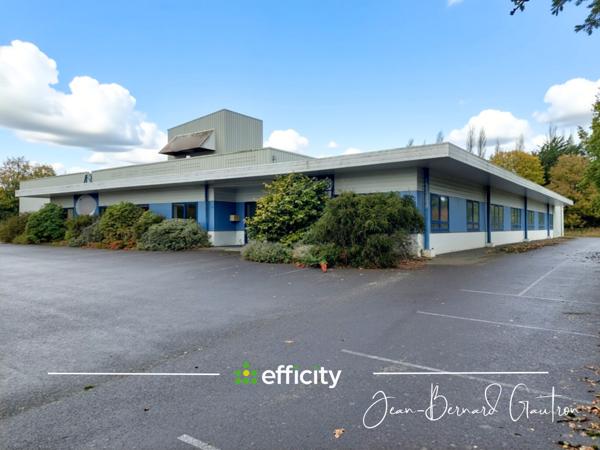 Local Commercial 6 pièces - 2650 m²