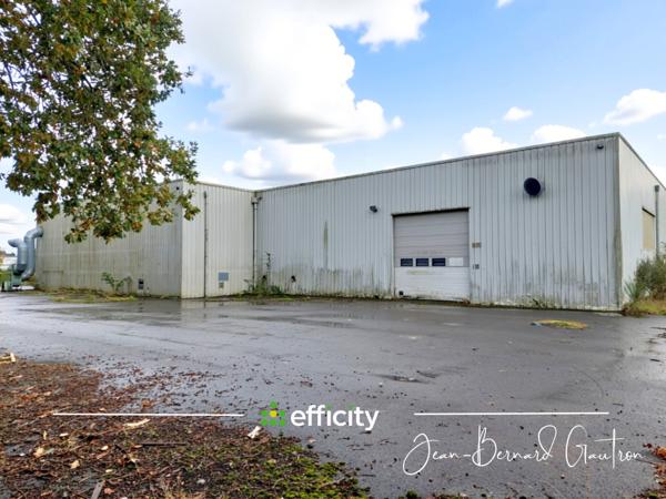 Local Commercial 6 pièces - 2650 m²