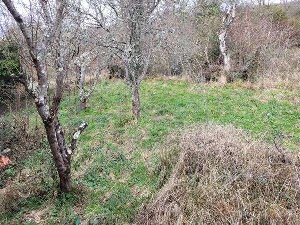 Vente Maison 5 pièces 125 m2 à Lavelanet