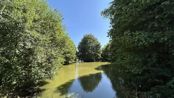 Achat - Maison Château-Gontier-sur-Mayenne 53200 7 pièces 192 m 2 22000 m 2