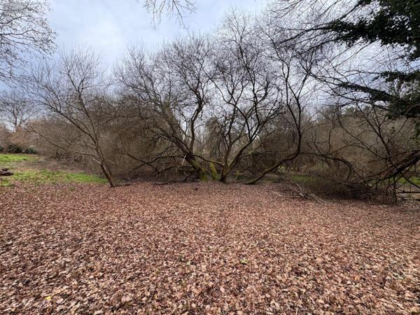 Maison à vendre à Couzeix en Haute-Vienne (87270), ref : 87006/1274