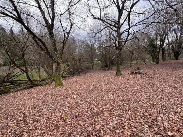 Maison à vendre à Couzeix en Haute-Vienne (87270), ref : 87006/1274