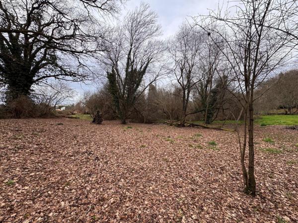 Maison à vendre à Couzeix en Haute-Vienne (87270), ref : 87006/1274