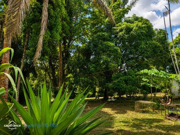 MACOURIA (Belle terre) – PROPRIÉTÉ SUR PLUS D’1 HECTARE AVEC PISCINE