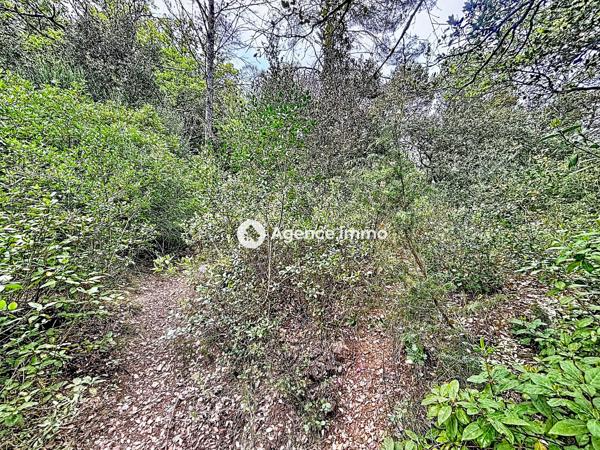 À vendre - Terrain projet construction 18650 m² situé à Cabasse (83340)
