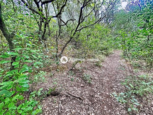 À vendre - Terrain projet construction 18650 m² situé à Cabasse (83340)