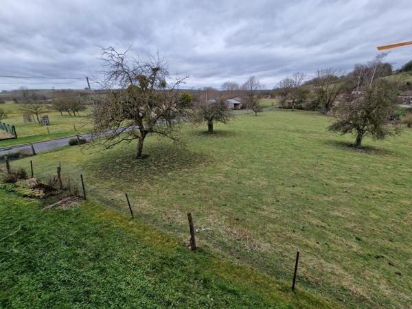 Dpt Vosges (88), à vendre secteur VITTEL de village T7 de 324 m2 +  HANGAR / 1500 m2 TERRAIN