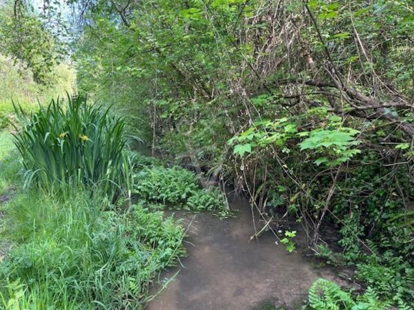Achat vente Terrain constructible Angoulême
