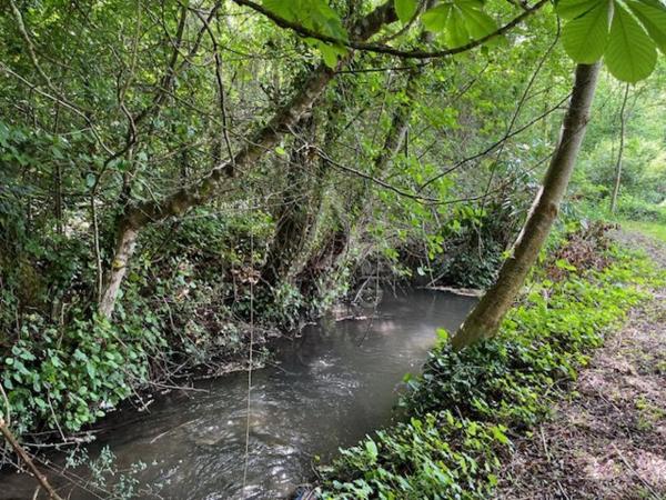 Achat vente Terrain constructible Angoulême