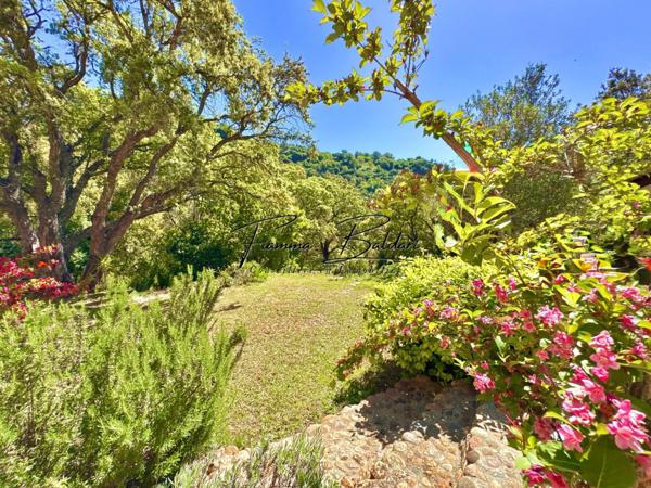 À vendre Villa 7 pièces de plain-pied 286 m², Terrain 2 111m², Havre de paix, Funtanone de Vignale, Haute-Corse (20)