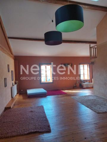 A VENDRE MAGNIFIQUE RENOVATION 248 M² ESPRIT LOFT / JARDIN / GARAGE