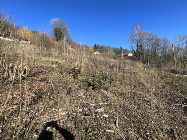 Terrain non constructible avec vue exceptionnelle