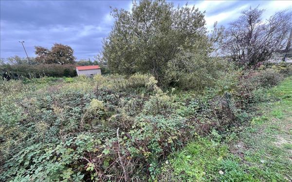 Terrain à vendre |  Laruscade |  995 m²