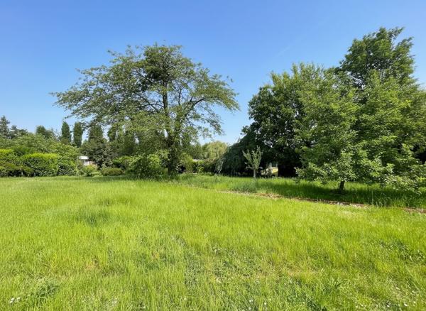 Plain-Pied dans Havre de Verdure