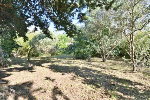 ACHAT - MAGNIFIQUE PROPRIETE - ARGELES SUR MER - 66700 - REGION OCCITANIE - PYRENNEES ORIENTALES