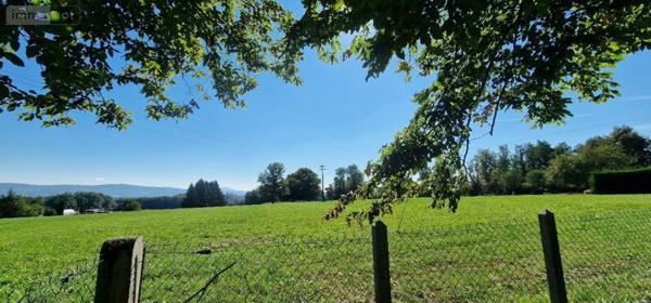 Maison à vendre à Lons-le-Saunier dans le Jura (39000), ref : SA-RG